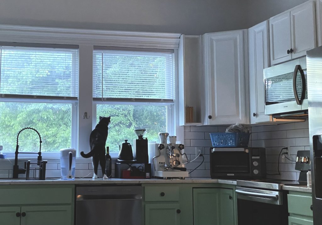 Marshall enjoying the view out of the kitchen windows in his new house.